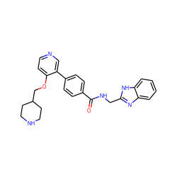 O=C(NCc1nc2ccccc2[nH]1)c1ccc(-c2cnccc2OCC2CCNCC2)cc1 ZINC001772601346