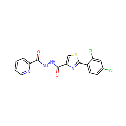 O=C(NNC(=O)c1csc(-c2ccc(Cl)cc2Cl)n1)c1ccccn1 ZINC000921164936