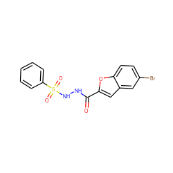 O=C(NNS(=O)(=O)c1ccccc1)c1cc2cc(Br)ccc2o1 ZINC000036184827