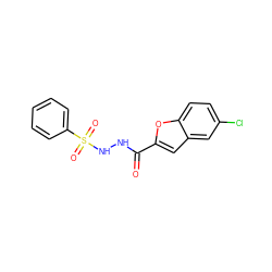 O=C(NNS(=O)(=O)c1ccccc1)c1cc2cc(Cl)ccc2o1 ZINC000036184828