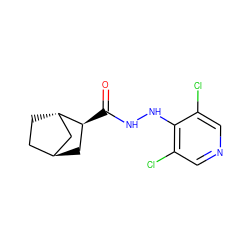 O=C(NNc1c(Cl)cncc1Cl)[C@H]1C[C@H]2CC[C@H]1C2 ZINC000261074666