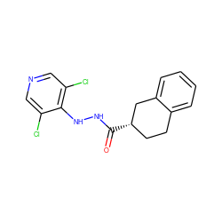 O=C(NNc1c(Cl)cncc1Cl)[C@H]1CCc2ccccc2C1 ZINC000084668838