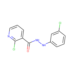 O=C(NNc1cccc(Cl)c1)c1cccnc1Cl ZINC000000984124