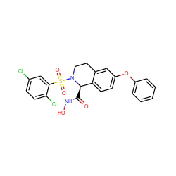 O=C(NO)[C@@H]1c2ccc(Oc3ccccc3)cc2CCN1S(=O)(=O)c1cc(Cl)ccc1Cl ZINC000095587132