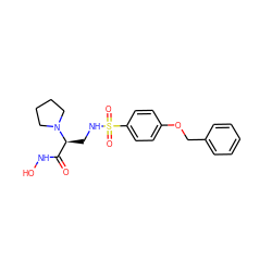 O=C(NO)[C@H](CNS(=O)(=O)c1ccc(OCc2ccccc2)cc1)N1CCCC1 ZINC000114996244