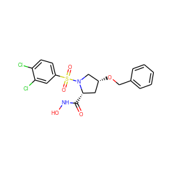 O=C(NO)[C@H]1C[C@@H](OCc2ccccc2)CN1S(=O)(=O)c1ccc(Cl)c(Cl)c1 ZINC000084687099