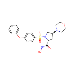 O=C(NO)[C@H]1C[C@H](N2CCOCC2)CN1S(=O)(=O)c1ccc(Oc2ccccc2)cc1 ZINC000013835748