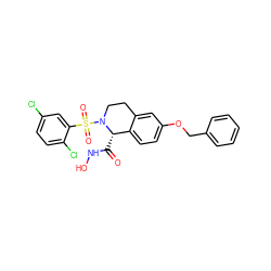 O=C(NO)[C@H]1c2ccc(OCc3ccccc3)cc2CCN1S(=O)(=O)c1cc(Cl)ccc1Cl ZINC000013588272