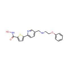 O=C(NO)c1ccc(-c2ccc(CNCCOc3ccccc3)cn2)s1 ZINC000038267437