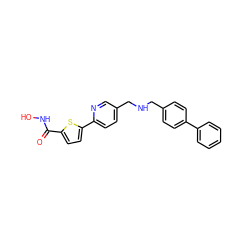 O=C(NO)c1ccc(-c2ccc(CNCc3ccc(-c4ccccc4)cc3)cn2)s1 ZINC000040576346