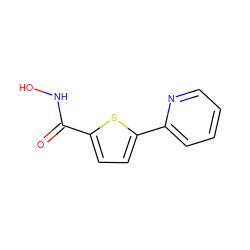 O=C(NO)c1ccc(-c2ccccn2)s1 ZINC000038417393