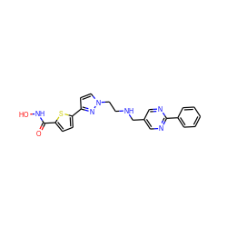 O=C(NO)c1ccc(-c2ccn(CCNCc3cnc(-c4ccccc4)nc3)n2)s1 ZINC000040575540