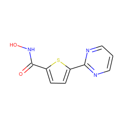 O=C(NO)c1ccc(-c2ncccn2)s1 ZINC000034146267