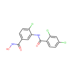 O=C(NO)c1ccc(Cl)c(NC(=O)c2ccc(Cl)cc2Cl)c1 ZINC000653848799