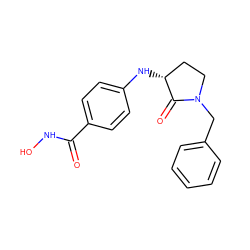 O=C(NO)c1ccc(N[C@@H]2CCN(Cc3ccccc3)C2=O)cc1 ZINC000143726659