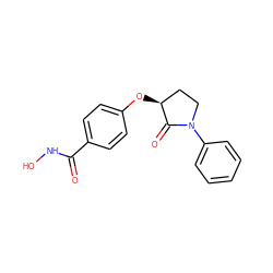 O=C(NO)c1ccc(O[C@H]2CCN(c3ccccc3)C2=O)cc1 ZINC000299866547