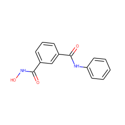 O=C(NO)c1cccc(C(=O)Nc2ccccc2)c1 ZINC000095921741