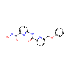 O=C(NO)c1cccc(NC(=O)c2cccc(COc3ccccc3)n2)n1 ZINC000028461857