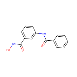 O=C(NO)c1cccc(NC(=O)c2ccccc2)c1 ZINC000653854468