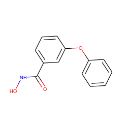 O=C(NO)c1cccc(Oc2ccccc2)c1 ZINC000028896852