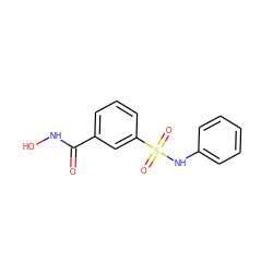 O=C(NO)c1cccc(S(=O)(=O)Nc2ccccc2)c1 ZINC000035977549