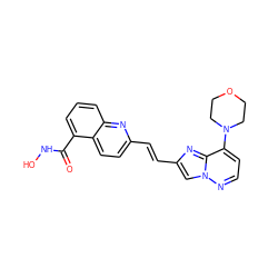 O=C(NO)c1cccc2nc(/C=C/c3cn4nccc(N5CCOCC5)c4n3)ccc12 ZINC001772622888