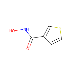 O=C(NO)c1ccsc1 ZINC000019511897