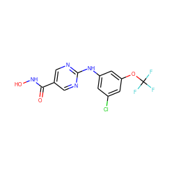 O=C(NO)c1cnc(Nc2cc(Cl)cc(OC(F)(F)F)c2)nc1 ZINC000166675376