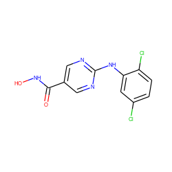 O=C(NO)c1cnc(Nc2cc(Cl)ccc2Cl)nc1 ZINC000166611963