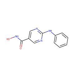 O=C(NO)c1cnc(Nc2ccccc2)nc1 ZINC000165969331