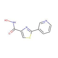 O=C(NO)c1csc(-c2cccnc2)n1 ZINC000001040591