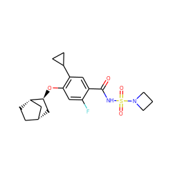 O=C(NS(=O)(=O)N1CCC1)c1cc(C2CC2)c(O[C@H]2C[C@@H]3CC[C@H]2C3)cc1F ZINC000216250316