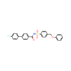 O=C(NS(=O)(=O)c1ccc(COc2ccccc2)cc1)c1ccc(-c2ccc(F)cc2)cc1 ZINC000072182067