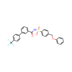 O=C(NS(=O)(=O)c1ccc(COc2ccccc2)cc1)c1cccc(-c2ccc(C(F)(F)F)cc2)c1 ZINC000072180583