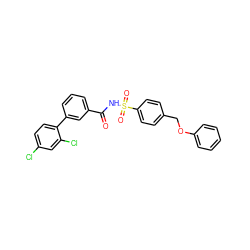 O=C(NS(=O)(=O)c1ccc(COc2ccccc2)cc1)c1cccc(-c2ccc(Cl)cc2Cl)c1 ZINC000072180689