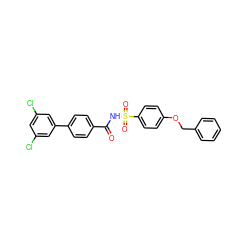 O=C(NS(=O)(=O)c1ccc(OCc2ccccc2)cc1)c1ccc(-c2cc(Cl)cc(Cl)c2)cc1 ZINC000072179719