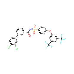 O=C(NS(=O)(=O)c1ccc(Oc2cc(C(F)(F)F)cc(C(F)(F)F)c2)cc1)c1cccc(-c2ccc(Cl)c(Cl)c2)c1 ZINC000072183173