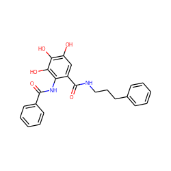 O=C(Nc1c(C(=O)NCCCc2ccccc2)cc(O)c(O)c1O)c1ccccc1 ZINC000096285595