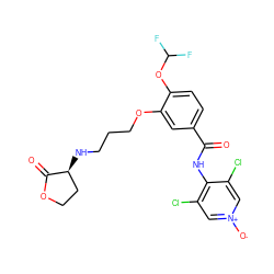 O=C(Nc1c(Cl)c[n+]([O-])cc1Cl)c1ccc(OC(F)F)c(OCCCN[C@H]2CCOC2=O)c1 ZINC000299834172