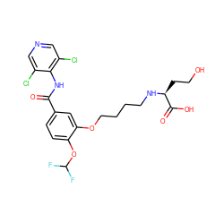 O=C(Nc1c(Cl)cncc1Cl)c1ccc(OC(F)F)c(OCCCCN[C@@H](CCO)C(=O)O)c1 ZINC000205513706