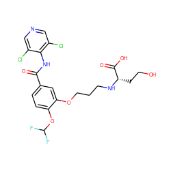 O=C(Nc1c(Cl)cncc1Cl)c1ccc(OC(F)F)c(OCCCN[C@@H](CCO)C(=O)O)c1 ZINC000205513737