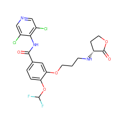 O=C(Nc1c(Cl)cncc1Cl)c1ccc(OC(F)F)c(OCCCN[C@@H]2CCOC2=O)c1 ZINC000205518206