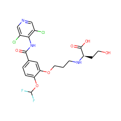 O=C(Nc1c(Cl)cncc1Cl)c1ccc(OC(F)F)c(OCCCN[C@H](CCO)C(=O)O)c1 ZINC000205513751