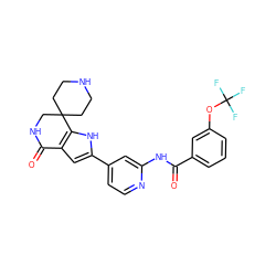 O=C(Nc1cc(-c2cc3c([nH]2)C2(CCNCC2)CNC3=O)ccn1)c1cccc(OC(F)(F)F)c1 ZINC000073223827