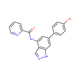 O=C(Nc1cc(-c2ccc(O)cc2)cc2[nH]ncc12)c1ccccn1 ZINC000113874343