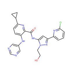 O=C(Nc1cc(-c2cccc(Cl)n2)nn1CCO)c1nc(C2CC2)ccc1Nc1cncnc1 ZINC000096167396