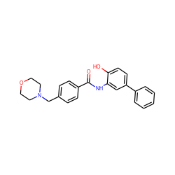 O=C(Nc1cc(-c2ccccc2)ccc1O)c1ccc(CN2CCOCC2)cc1 ZINC000141481434