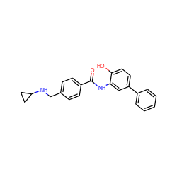 O=C(Nc1cc(-c2ccccc2)ccc1O)c1ccc(CNC2CC2)cc1 ZINC000142489404