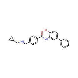 O=C(Nc1cc(-c2ccccc2)ccc1O)c1ccc(CNCC2CC2)cc1 ZINC000141342838