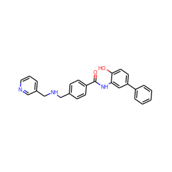 O=C(Nc1cc(-c2ccccc2)ccc1O)c1ccc(CNCc2cccnc2)cc1 ZINC000040406974